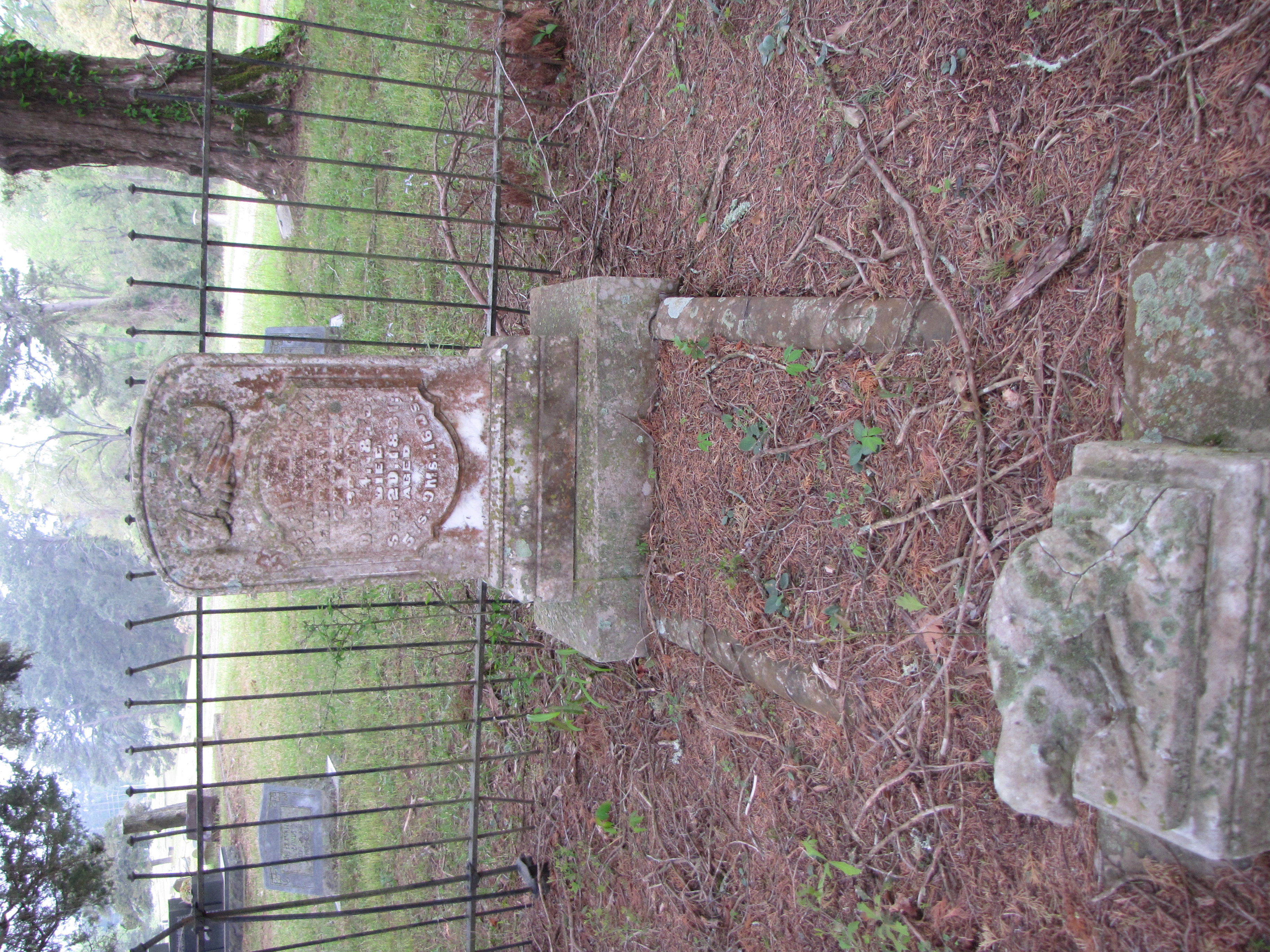 image of a marble marker with headstone and footstone. The footstone is of a lamb.