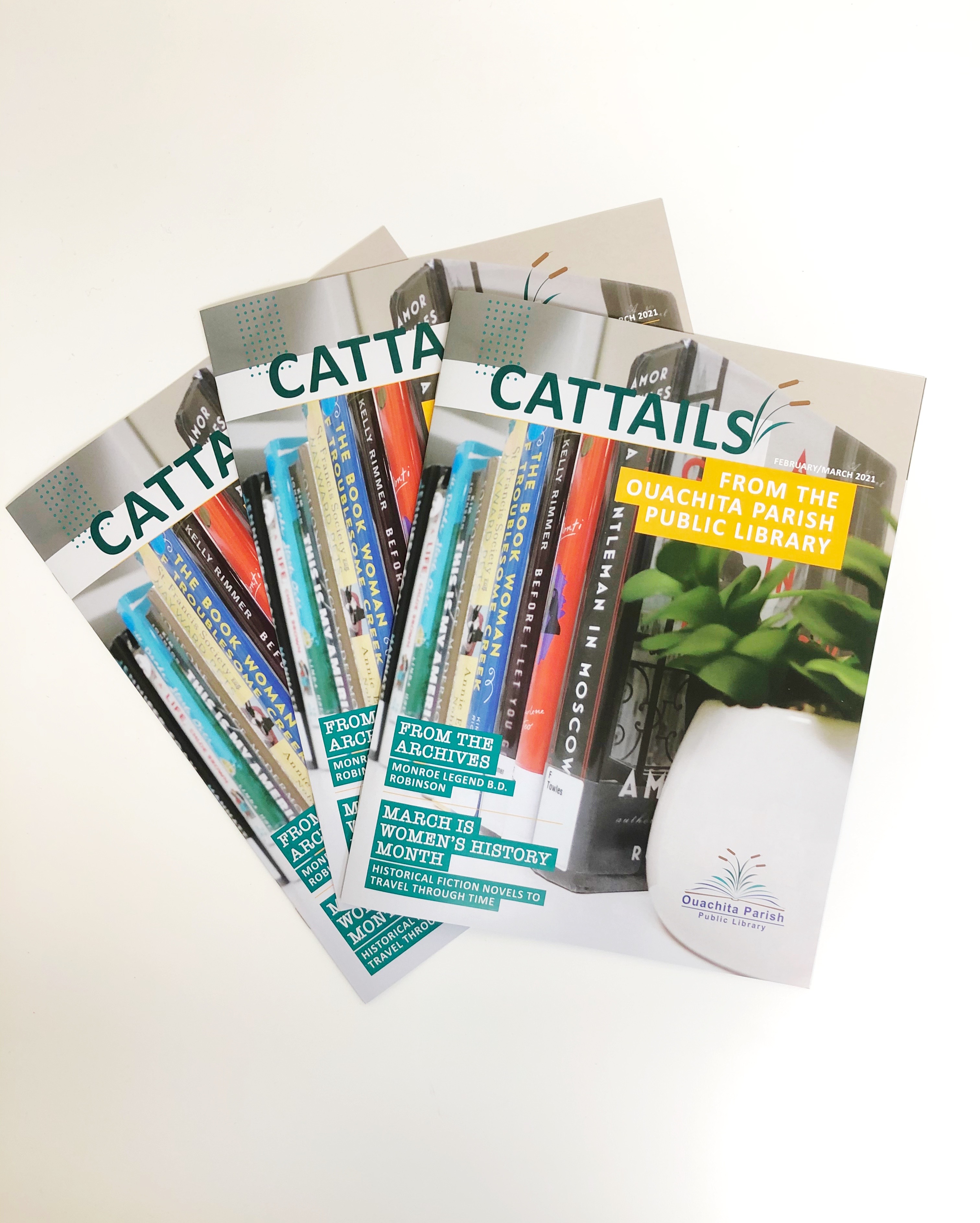 Cattails February/March issue available now