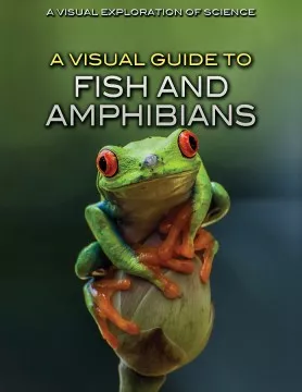 A visual guide to fish and amphibians cover