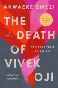 The Dearth of Vivek Oji